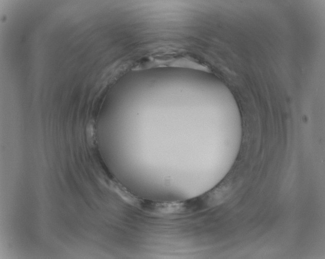 X0000076390288200610271600