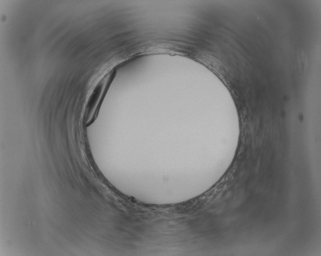 X0000076390289200610271600