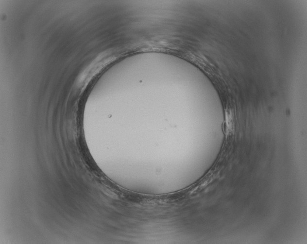 X0000076390291200610271600