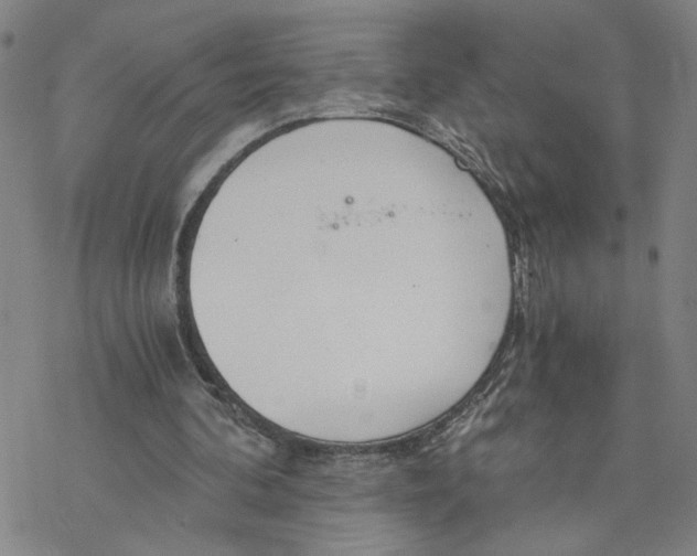 X0000076390292200610271600