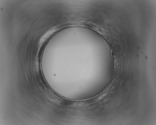 X0000076390294200610271600