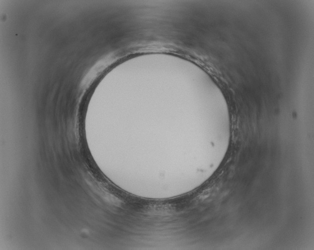 X0000076390296200610271600