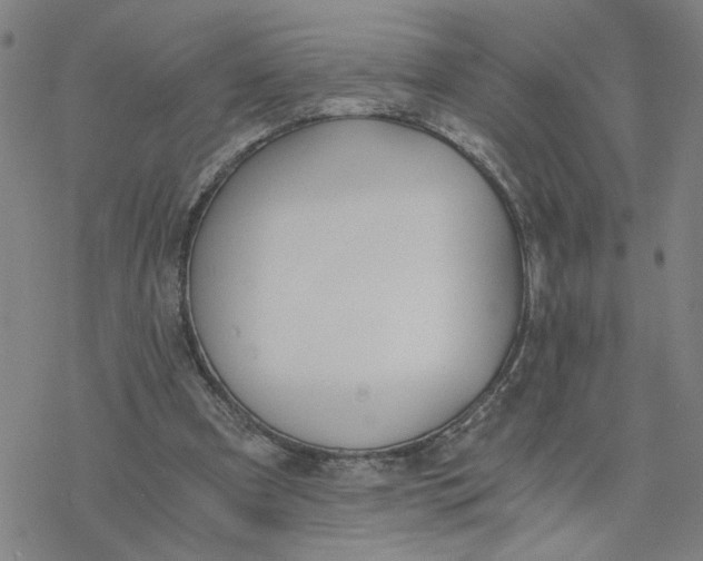 X0000076390297200610271600