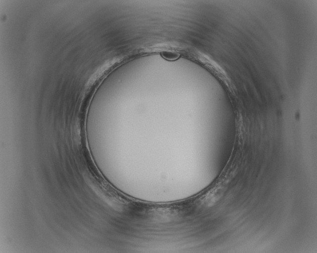 X0000076390298200610271600