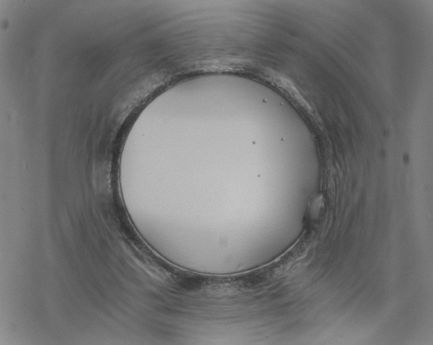 X0000076390299200610271600