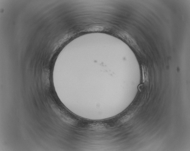 X0000076390300200610271600