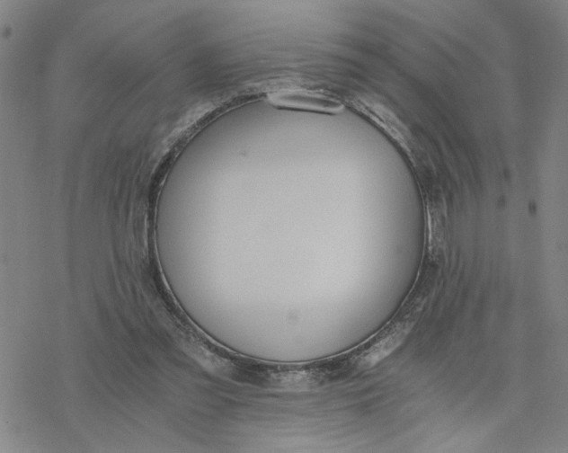 X0000076390301200610271559