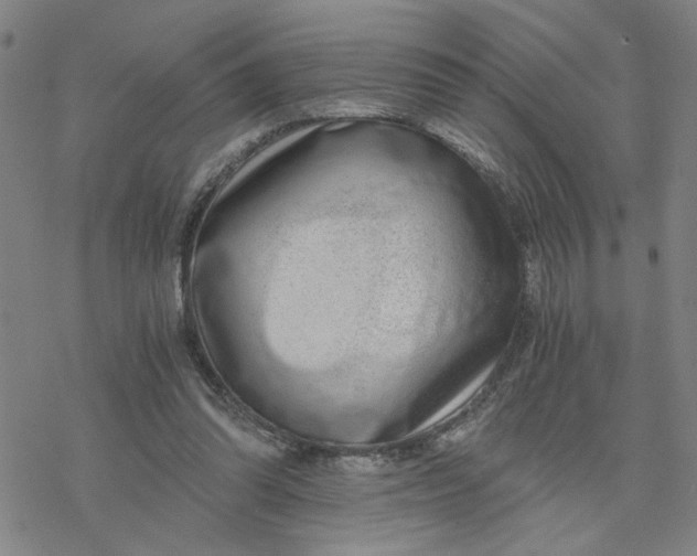 X0000076390302200610271559