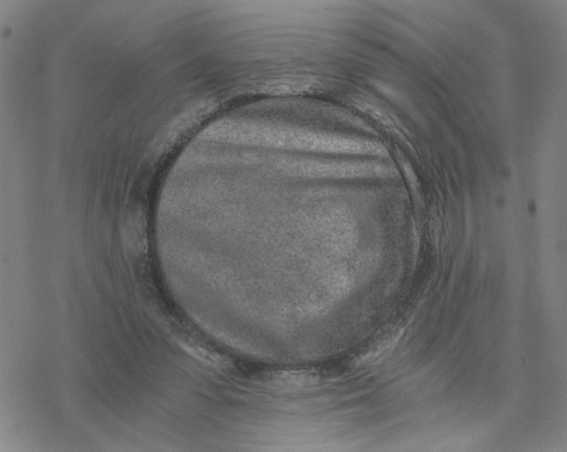 X0000076390303200610271559