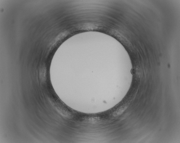 X0000076390304200610271559