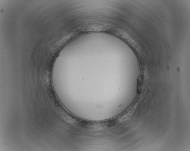 X0000076390305200610271559