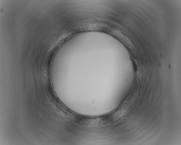 X0000076390306200610271559