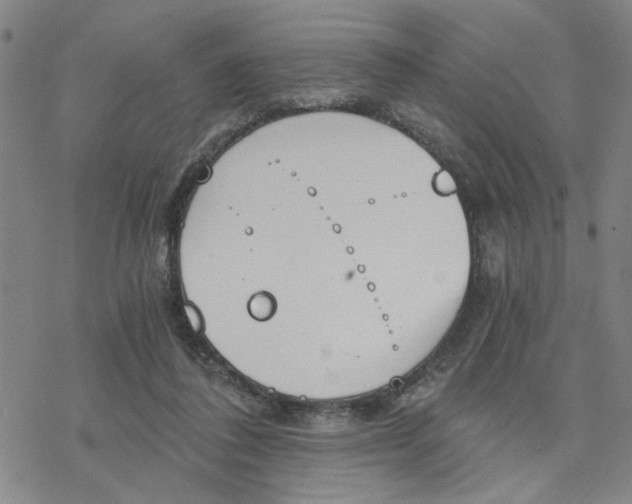 X0000076390308200610271559