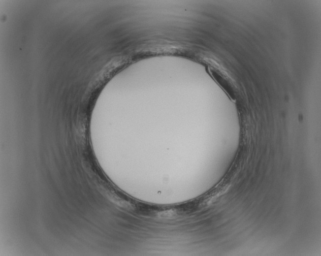 X0000076390309200610271559