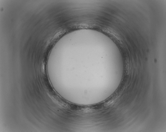 X0000076390310200610271559