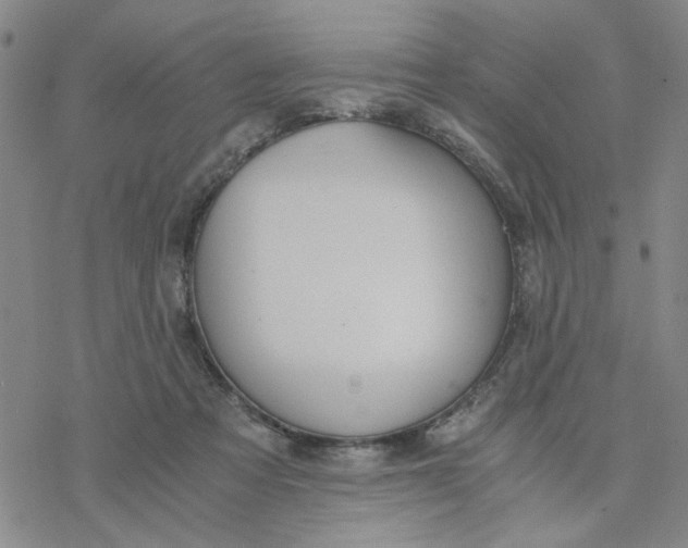 X0000076390313200610271559