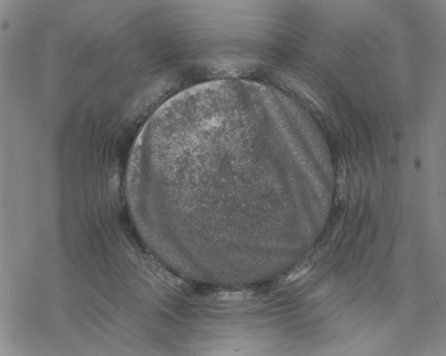 X0000076390314200610271559