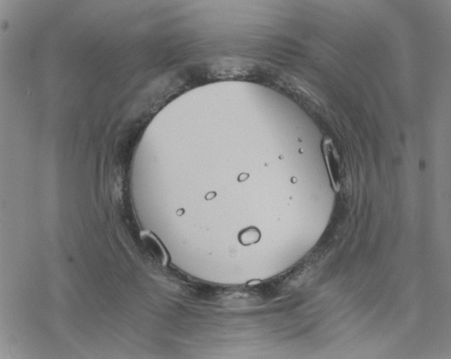 X0000076390315200610271559