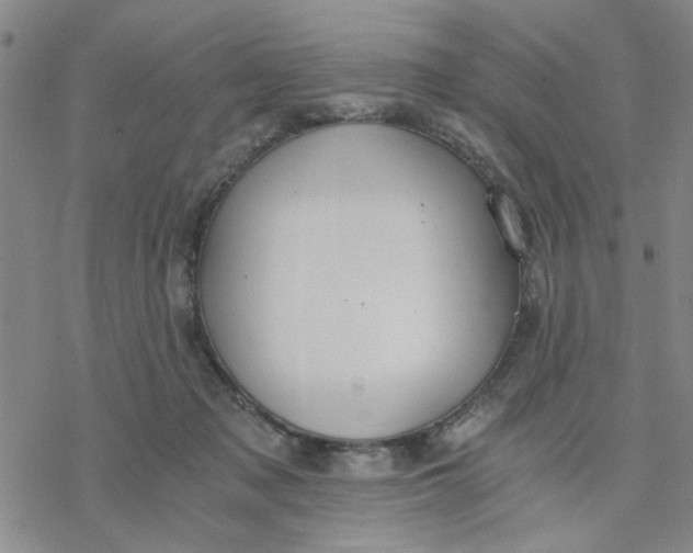 X0000076390317200610271559