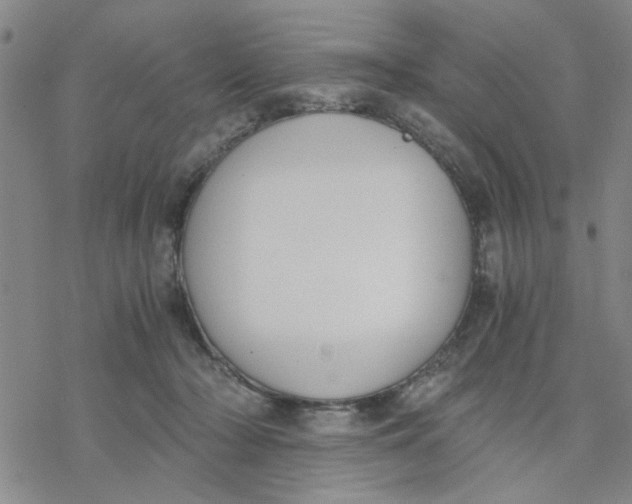 X0000076390318200610271559