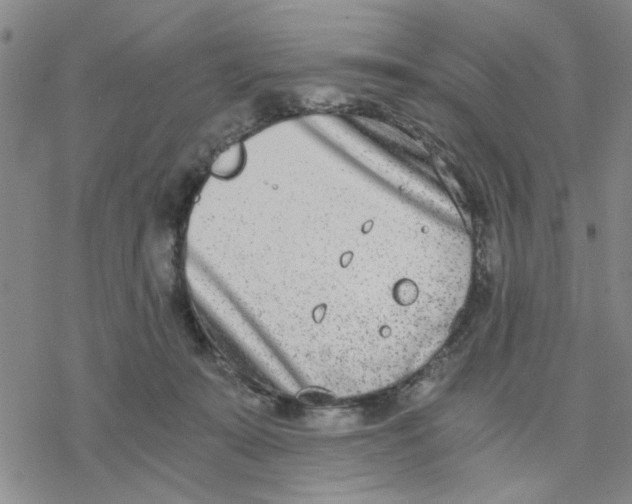 X0000076390319200610271559