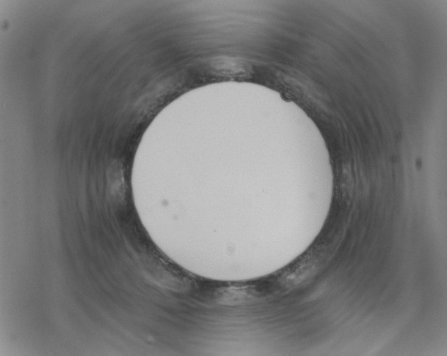 X0000076390320200610271559