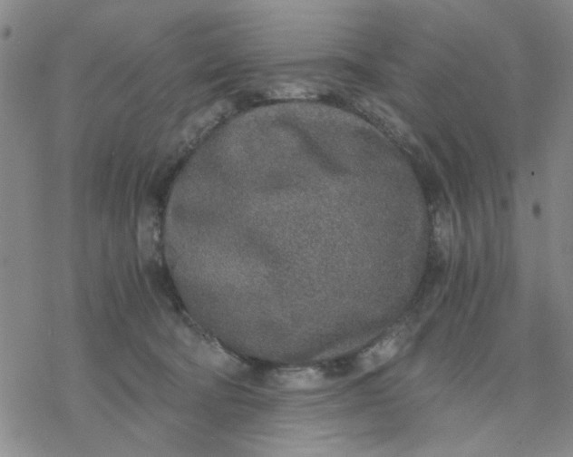 X0000076390322200610271559