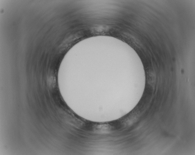 X0000076390324200610271559