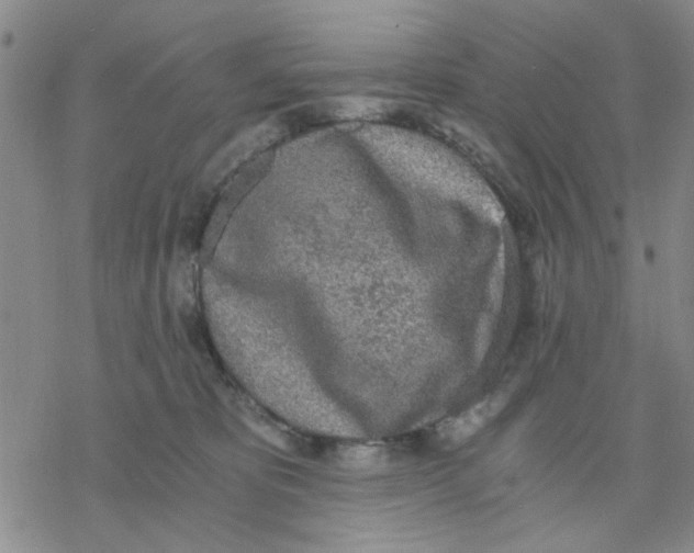 X0000076390325200610271559