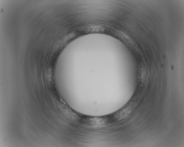 X0000076390326200610271559