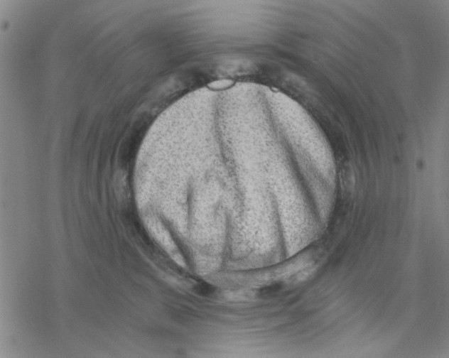 X0000076390327200610271559