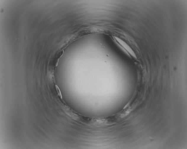 X0000076390329200610271559