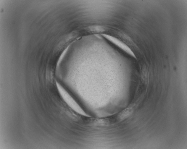 X0000076390330200610271559