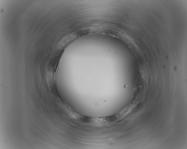 X0000076390333200610271559