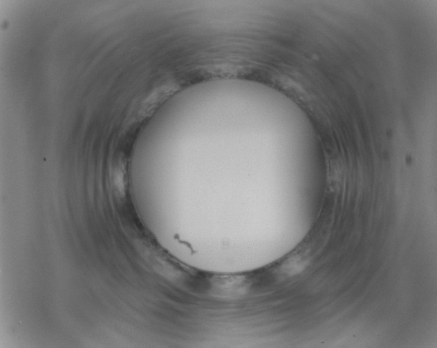 X0000076390334200610271559