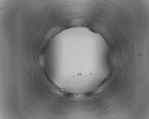 X0000076390335200610271559