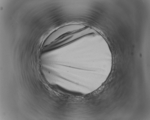 X0000076390337200610271558