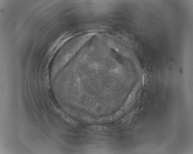 X0000076390339200610271558