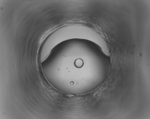 X0000076390340200610271558