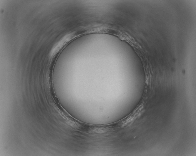 X0000076390341200610271558