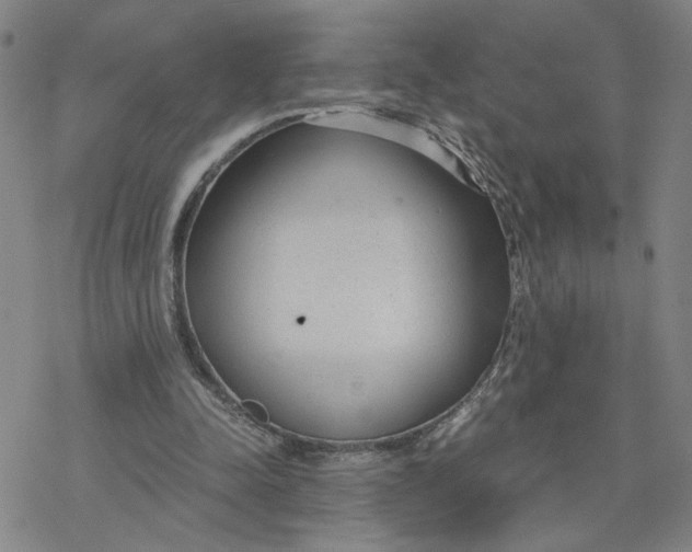 X0000076390342200610271558