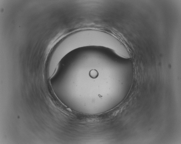 X0000076390344200610271558