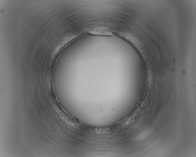 X0000076390345200610271558