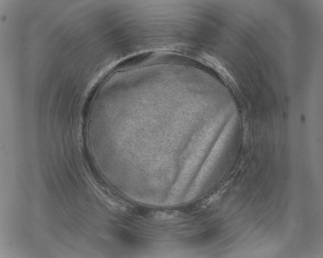 X0000076390346200610271558