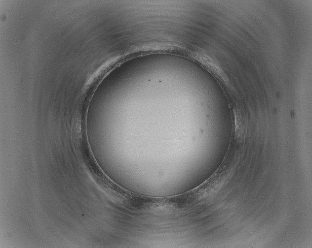 X0000076390348200610271558