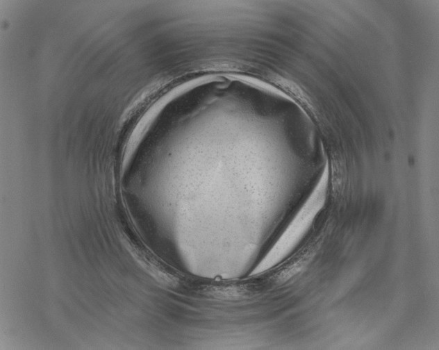 X0000076390349200610271558