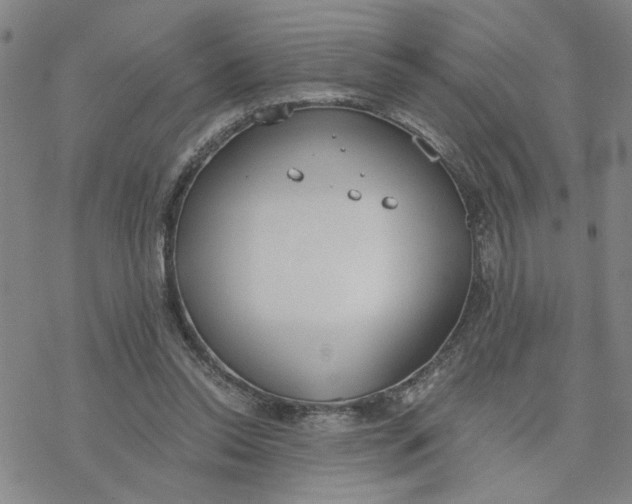 X0000076390350200610271558