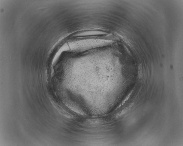 X0000076390351200610271558