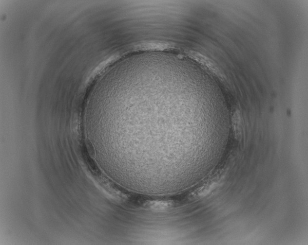 X0000076390352200610271558