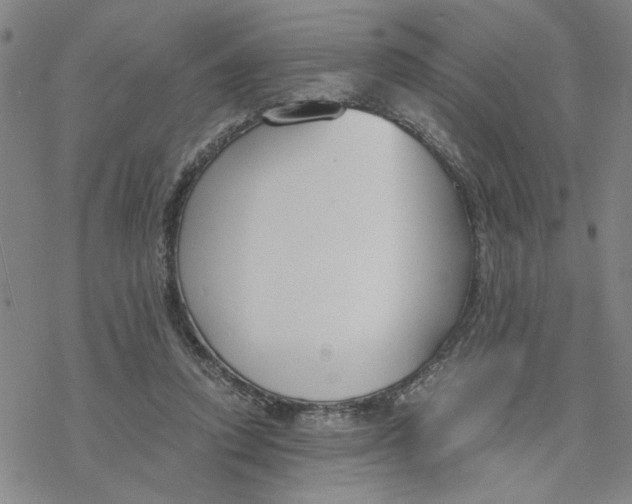 X0000076390354200610271558